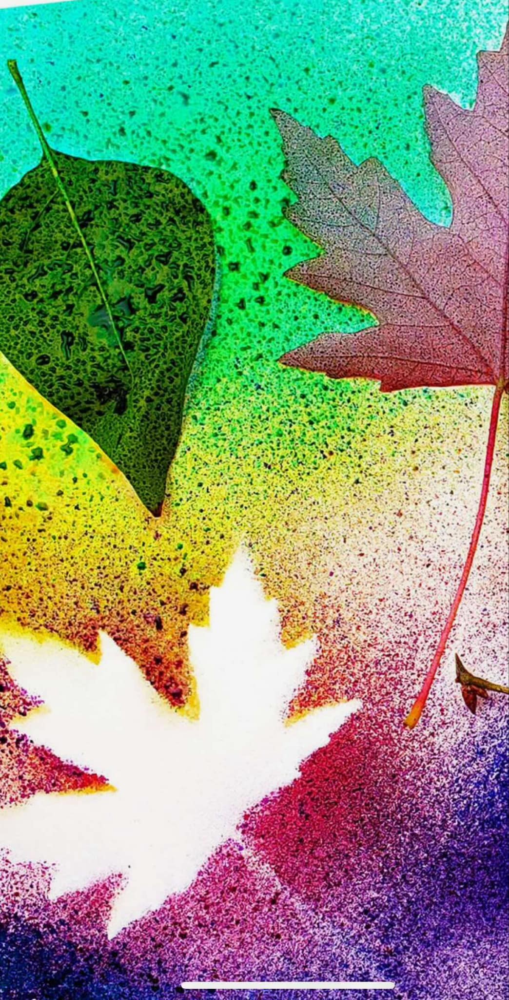 Nature Week Camp July 28-31
